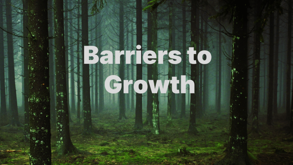 barriers to growth