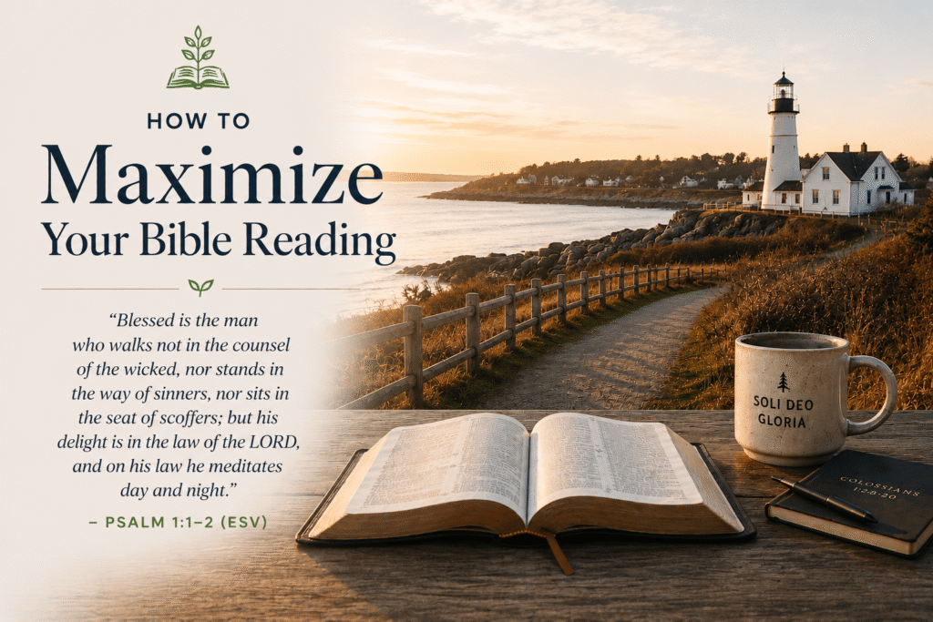 maximize your bible reading